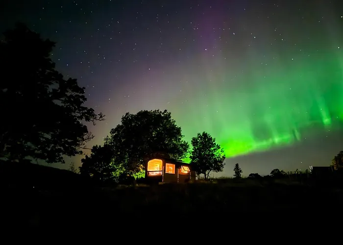 Willa Unique With Farm Animals And Stunning Views Tiny House In Telemark Notodden