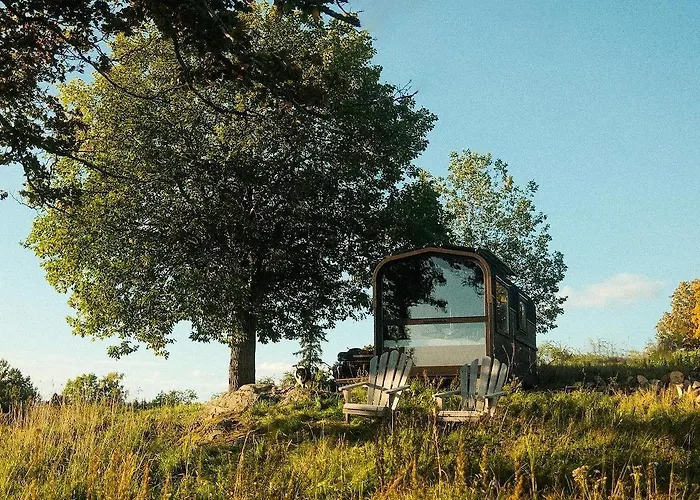 Unique With Farm Animals And Stunning Views Tiny House In Telemark Willa *